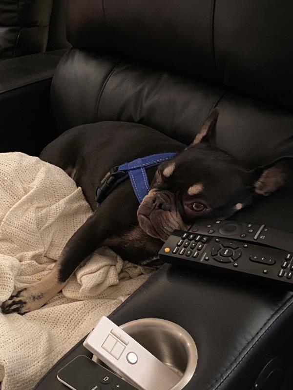 /Images/uploads/Congregation Beth Emeth/bethemeth/entries/17511thumb.jpg